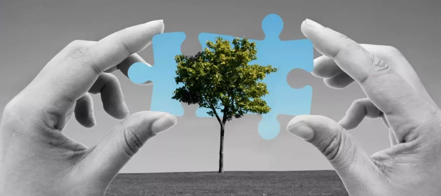 ecosystem-solutions-2
