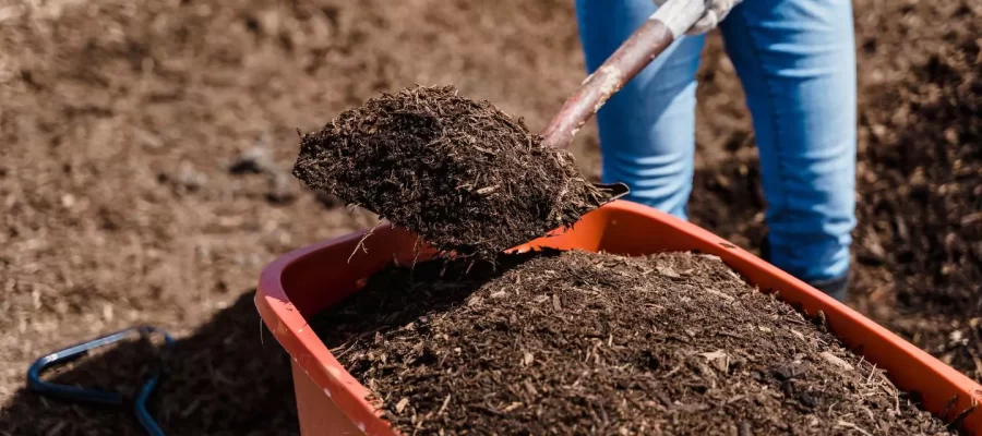 mulch-2