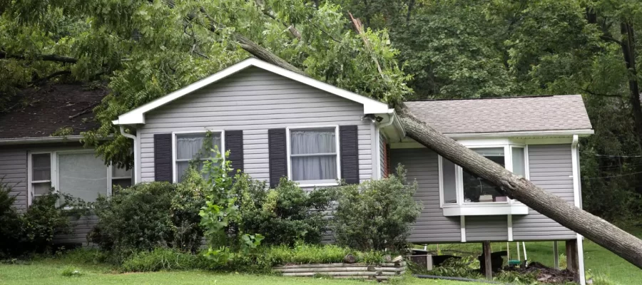 storm-damage