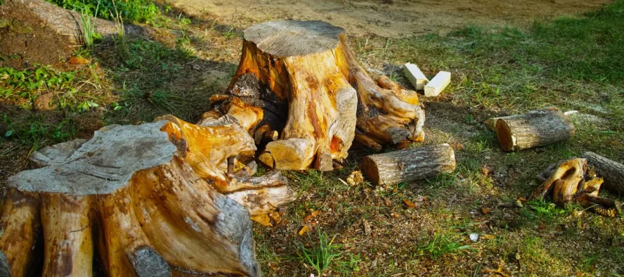 stump-removal